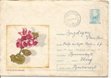 Plic intreg postal-(cod 387/68)-muscata de gradina