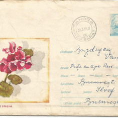 plic intreg postal-(cod 387/68)-muscata de gradina