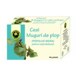 Ceai de Muguri de Plop 40gr Hypericum, Hypericum Plant