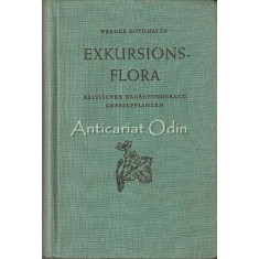 Exkursionsflora Von Deutschland IV - Werner Rothmaler