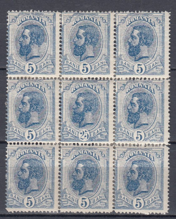 ROMANIA1893 LP 51h CAROL I SPIC DE GRAU FILIGRAN PR EROARE 25 B+5B IN BLOC DE 9