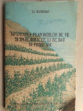 Infiintarea plantatiilor de vii si ingrijirile ce li se dau in primii ani- D. Rusnac