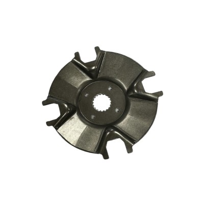 06. Butuc (spate) variator Linhai foto