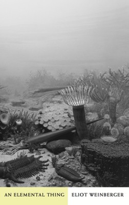 An Elemental Thing foto