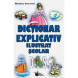 Dictionar explicativ ilustrat scolar - Niculescu Ecaterina, Steaua Nordului