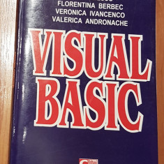 Visual basic de Gheorghe Popa, Matei Iliescu