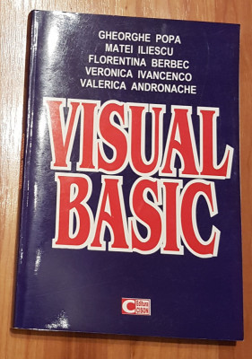 Visual basic de Gheorghe Popa, Matei Iliescu foto