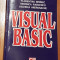 Visual basic de Gheorghe Popa, Matei Iliescu