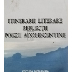 Valeriu Palaghita - Itinerarii literare, reflectii, poezii adolescentine (semnata) (editia 2004)