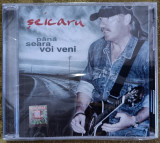 Vasile Șeicaru , cd cu muzică sigilat, Folk