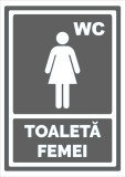 Indicator gri toaleta pentru femei