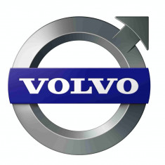 Fuel Filter Oe Volvo 30794824 foto