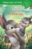 Disney Iepurasi. O zi cu tata (Nivelul 2 Carte cu despartiri in silabe)