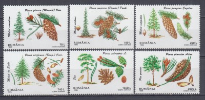 ROMANIA 1996 LP 1419 FLORA SERIE MNH foto