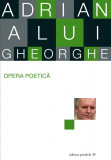 Opera poetica | Adrian Alui Gheorghe, 2019, Paralela 45
