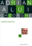 Opera poetica | Adrian Alui Gheorghe