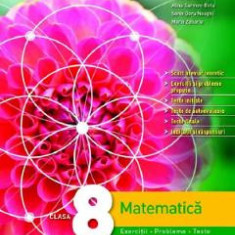 Matematica. Exercitii, probleme, teste - Clasa 8 - Dorin Lint, Maranda Lint, Alina Carmen Birta, Sorin Doru Noaghi, Maria Zaharia