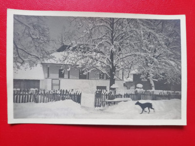 Casa din Muzeul Satului Bucuresti foto