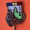 AGVPS - Caprior - insigna pescuit &amp; Vanatoare, anii 1970