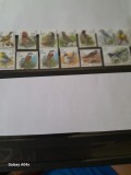 BELGIA-3=Pasari-LOT COMPLET DE 13 timbre CU FRANCATURA FB/EURO in stare nestampilata,MNH, Fauna, Nestampilat