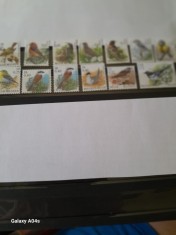 BELGIA-3=Pasari-LOT COMPLET DE 13 timbre CU FRANCATURA FB/EURO in stare nestampilata,MNH