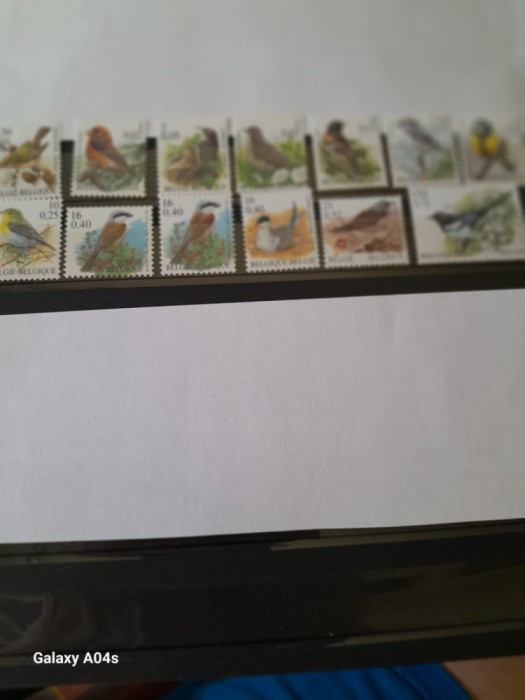 BELGIA-3=Pasari-LOT COMPLET DE 13 timbre CU FRANCATURA FB/EURO in stare nestampilata,MNH