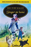 Singur pe lume Hector Malot Editura Corint 2015 464 pagini Coperta Brosata Literatura Copii
