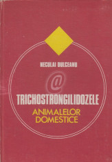 Trichostrongilidozele animalelor domestice foto