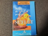 Jack Canfield - Supa de pui pentru suflet 1999