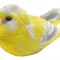 Pasare cu sunet Florinte - GREENFINCH