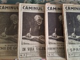 Colectia Caminul, 4 titluri