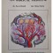 Pavel Chirila - Meditation on biblical medicine (Editia: 1992)