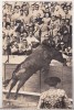Bnk cp Corrida de toros - El toro salta la barrera - necirculata, Spania, Printata