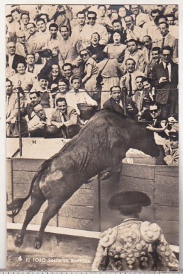 bnk cp Corrida de toros - El toro salta la barrera - necirculata foto