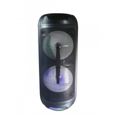 Boxa Portabila elSales, ELS-A0-8201, cu Bluetooth, USB, Microfon, Telecomanda, Lumini LED