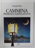 CAMMINA PASSIATA NAPULITANA di GIUSEPPE RUSSO , VERSURI IN LIMBA ITALIANA , 1987
