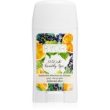 RYOR Deo deodorant cu o eficienta de 48 h parfum Grapefruit &amp; Black Currant 50 g