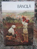 Ruxandra Dreptu - Bancila