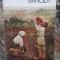 Ruxandra Dreptu - Bancila