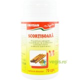 Scortisoara 70cps