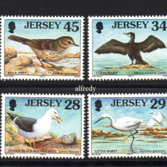 JERSEY 1999, Fauna, Pasari, serie neuzata, MNH