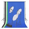 VidaXL Kit studio foto cu fundal și set de iluminare