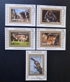 Ajman 1971 Seria "Faună Sălbatică / Mamifere Exotice &amp; Protejate" Valori 1 R / Airmail Obliterat CTO / Ștampilat de Onoare - A90