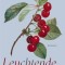Leuchtende Schatten
