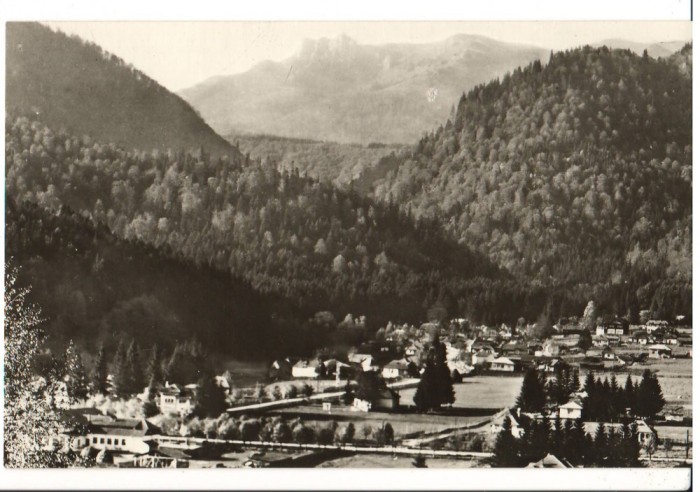 CPIB 15799 CARTE POSTALA - STATIUNEA CLIMATERICA CHEIA