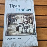 Carte Roman Tigan Tandari de Valeriu Nicolae, aparut in 2022, coperta brosata, 449 pagini