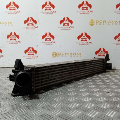 Intercooler Citroen Fiat Peugeot 2006-2019 foto