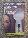 Morogan-Salomie - Amnezii de iarnă