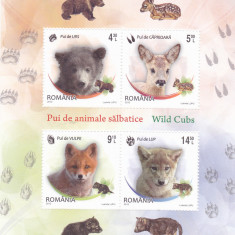 PUI DE ANIMALE SALBATICE,BLOC,2012,Lp.1960a, MNH ** ROMANIA.