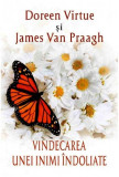 Vindecarea unei inimi &icirc;ndoliate - Paperback brosat - Doreen Virtue, James Van Praagh - Adevăr divin
